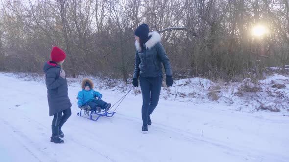 Teen Daughter and Mother Pulling Little Son on Sledge, Running. Silhouette Family Playing in Winter alt