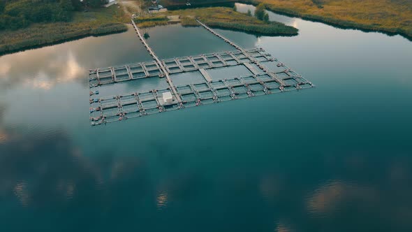 Fish Farm in Lake - Farming Enclosures with Fresh Water Where Trout, Carp or Salmon Is Raised alt