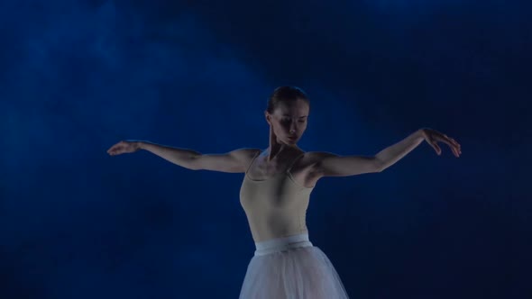 Charming Ballerina in Tutu Performing Ballet, Close Up, Slow Motion alt