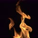 Flames - VideoHive Item for Sale