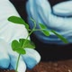 Plant Growth Soil Fertility Hands Sapling Vertical - VideoHive Item for Sale