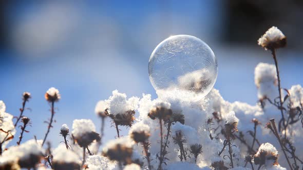 Freezing Bubble