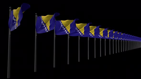 Row Of Bosnia And Herzegovina Flags With Alpha 4K