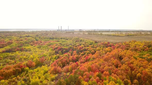 Autumn Industrial City Factory Nature