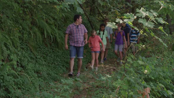 Kids at summer camp going on a nature hike