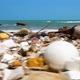 Large Amount of Plastic Trash Littering the Ocean Shore. Environmental Pollution. - VideoHive Item for Sale