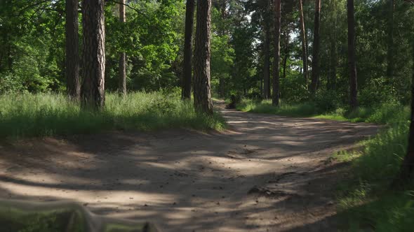 View From Car on Movement on Dirt Road in Forest