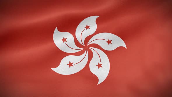 Hong Kong Flag alt