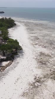 Tanzania  Vertical Video of Low Tide in the Ocean Near the Coast of Zanzibar Slow Motion alt