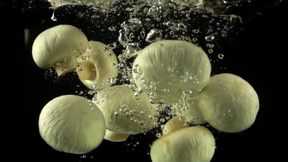 Falling Mushrooms Champignon alt