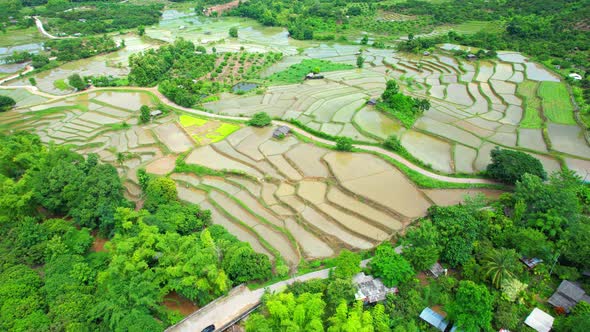 Aerial drone of Rice terraces and fields alt