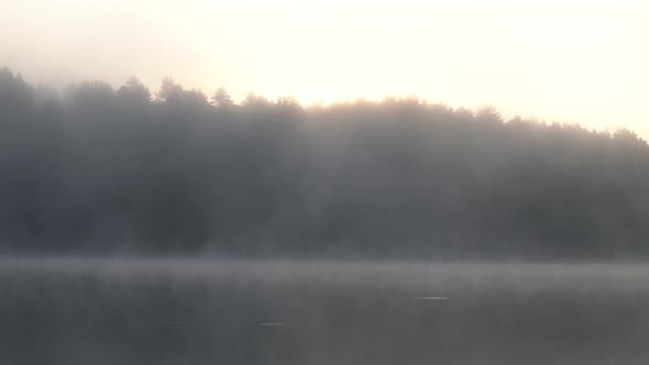 Morning Fog Blows Slowly Across a Clam Lake with Trees Reflecting in the Water