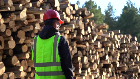 A Worker in Overalls Stands Next to a Warehouse of Logs Harvested for Woodworking alt