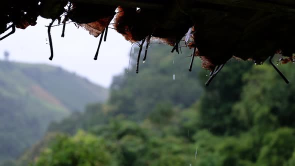 Rain is falling from the grass hut roof in countryside