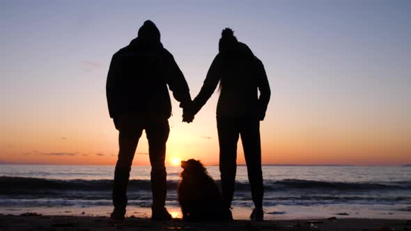 silhouette of couple at the beach looking down lovingly at their dog alt
