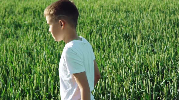Little Boy is Walking in the Field alt