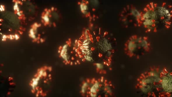 Realistic Deadly Virus Model alt