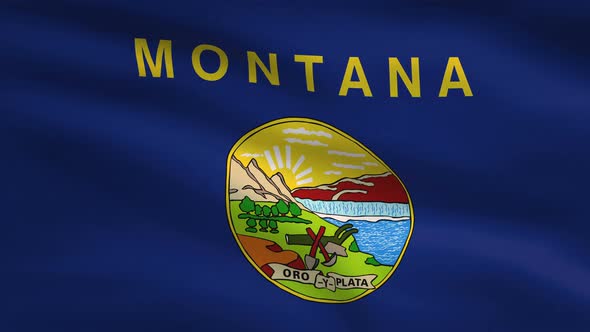 Montana State Flag Background 4K alt