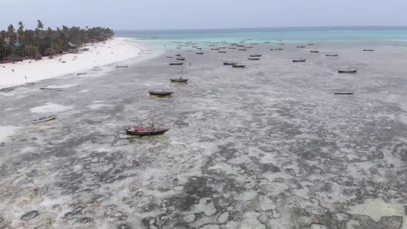 Lot Fishing Boats Stuck in Sand Off Coast at Low Tide Zanzibar Aerial View alt