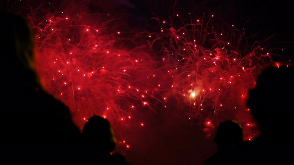 Silhouettes of a Crowd of People on a Background of Colorful Fireworks. Public Watching alt