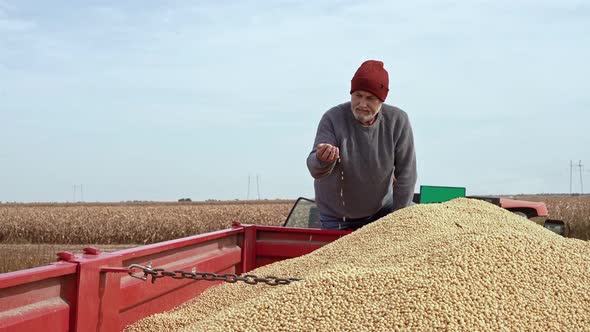 Farmer with soybeans in hand on truck