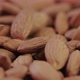 Selected Roasted Almond Grains - VideoHive Item for Sale