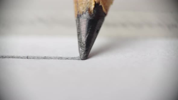 Pencil Close Up alt
