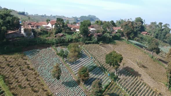 Aerial Clip of Cultivated Farm Field on a mountain