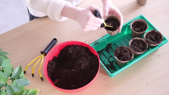 Side View of the Hands of a Young Woman Planting Seeds at Home