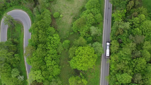 Bus Coaches on the Road Trough the Dense Coniferous Forest alt