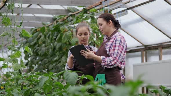 Mom and Daughter Work in the Greenhouse Using a Tablet alt