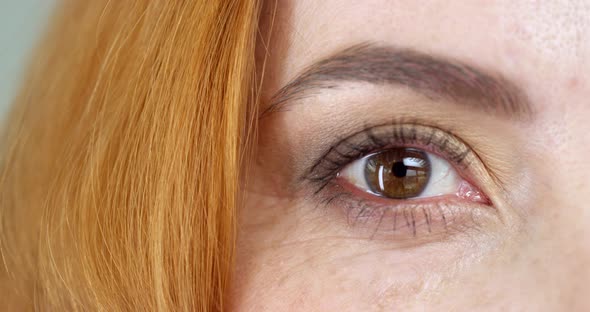 Woman's Brown Eyes alt