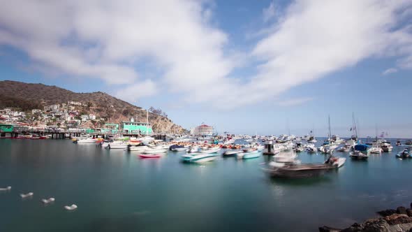 Bay and Town of Avalon on Catalina Island alt