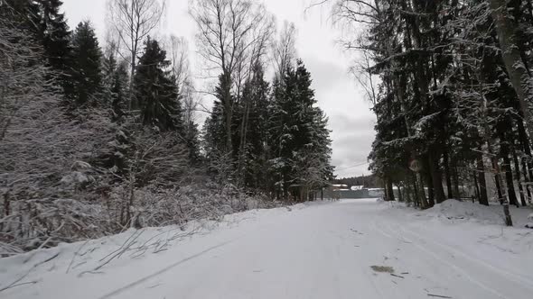 Time lapse video on the snowy forest. alt
