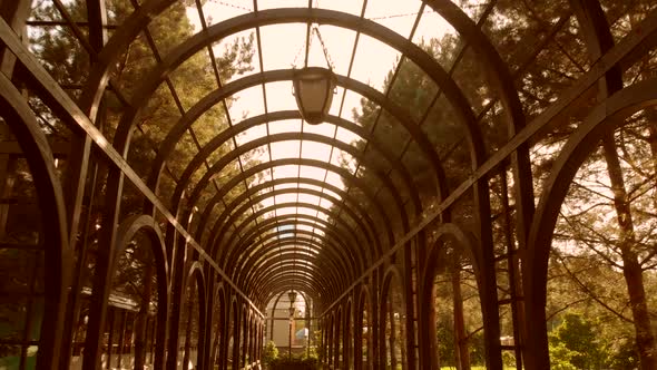 Ceiling of a Wooden Tunnel Archway alt