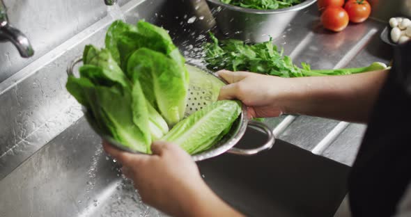 Caucasian female chef washing vegetables in colander in restaurant kitchen alt