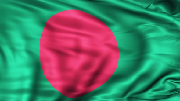Bangladesh Flag alt