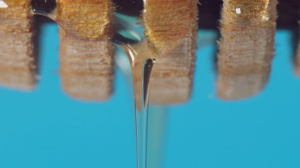Honey Drips Closeup Macro From a Wooden Ladle alt
