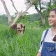 Young beautiful female agricultural farmer checking and examine cows animal in green field - VideoHive Item for Sale