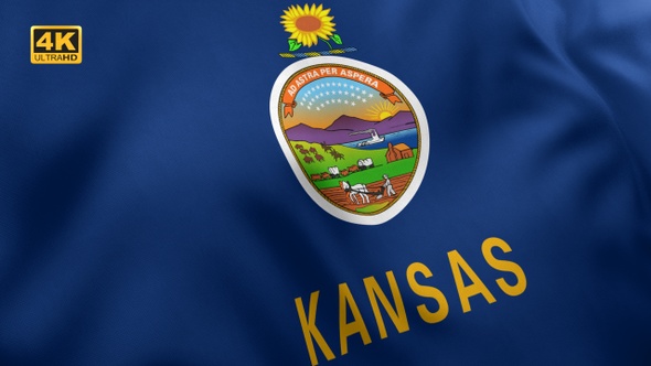 Kansas State Flag - 4K alt