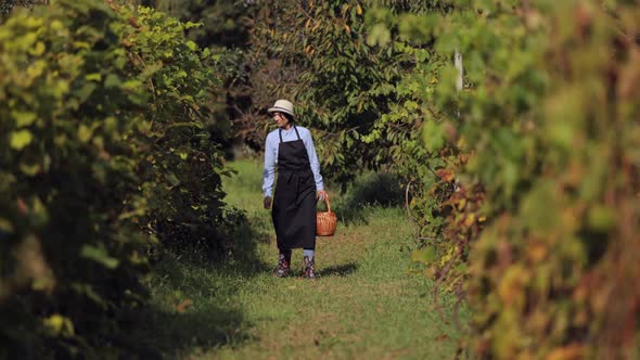 Woman Tasting Grape on Vineyard