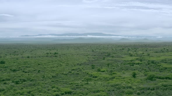 African Landscapes m Drone Flight Over Green Savanna Omo Valley Ethiopia alt