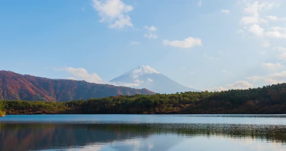 Beautiful time-lapse scenery of lake Saiko with mountain Fuji in blue sky day during autumn