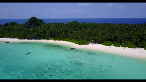 Aerial flying over texture of marine coast beach wildlife by turquoise sea and white sand background alt