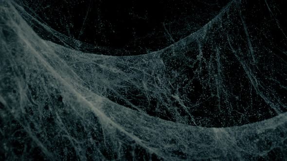 Passing Old Cobwebs Moving In Breeze alt