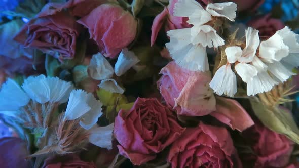 Rotation Dry Flowers Background alt