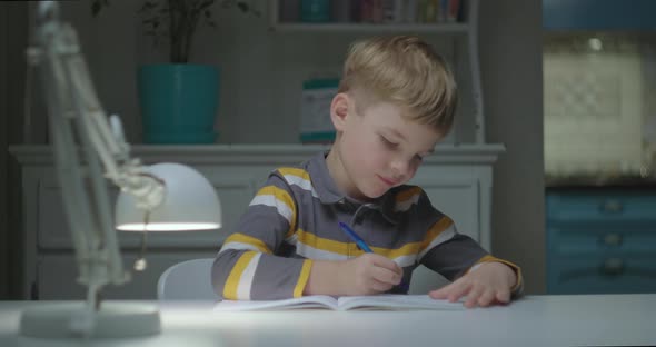 Elementary Age Child Studying Online at Home alt