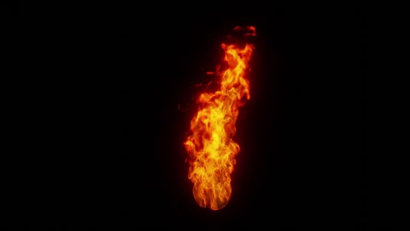 Burning fire. Realistic fire on black background. Power of nature.