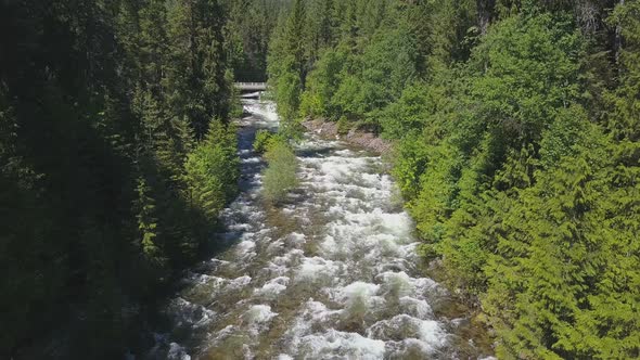 Aerial Drone Of Rushing Water Rapids Between Evergreen Trees Revealing Mountains 1