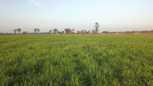 Aerial Cinematic Clip Drone Flying Over a Farm Field During Sunset alt